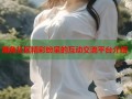 海角社区精彩纷呈的互动交流平台介绍