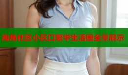 海角社区小区口繁华生活圈全景展示