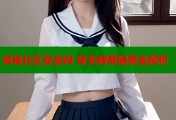 海角社区安全吗 有无病毒隐患全解析
