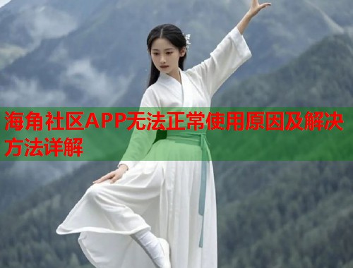海角社区APP无法正常使用原因及解决方法详解