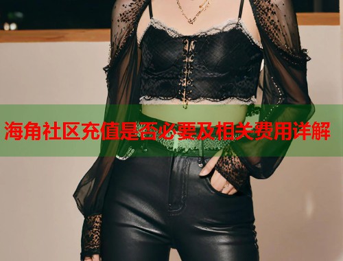海角社区充值是否必要及相关费用详解